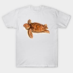 Naturalist vintage secular tortoise T-Shirt